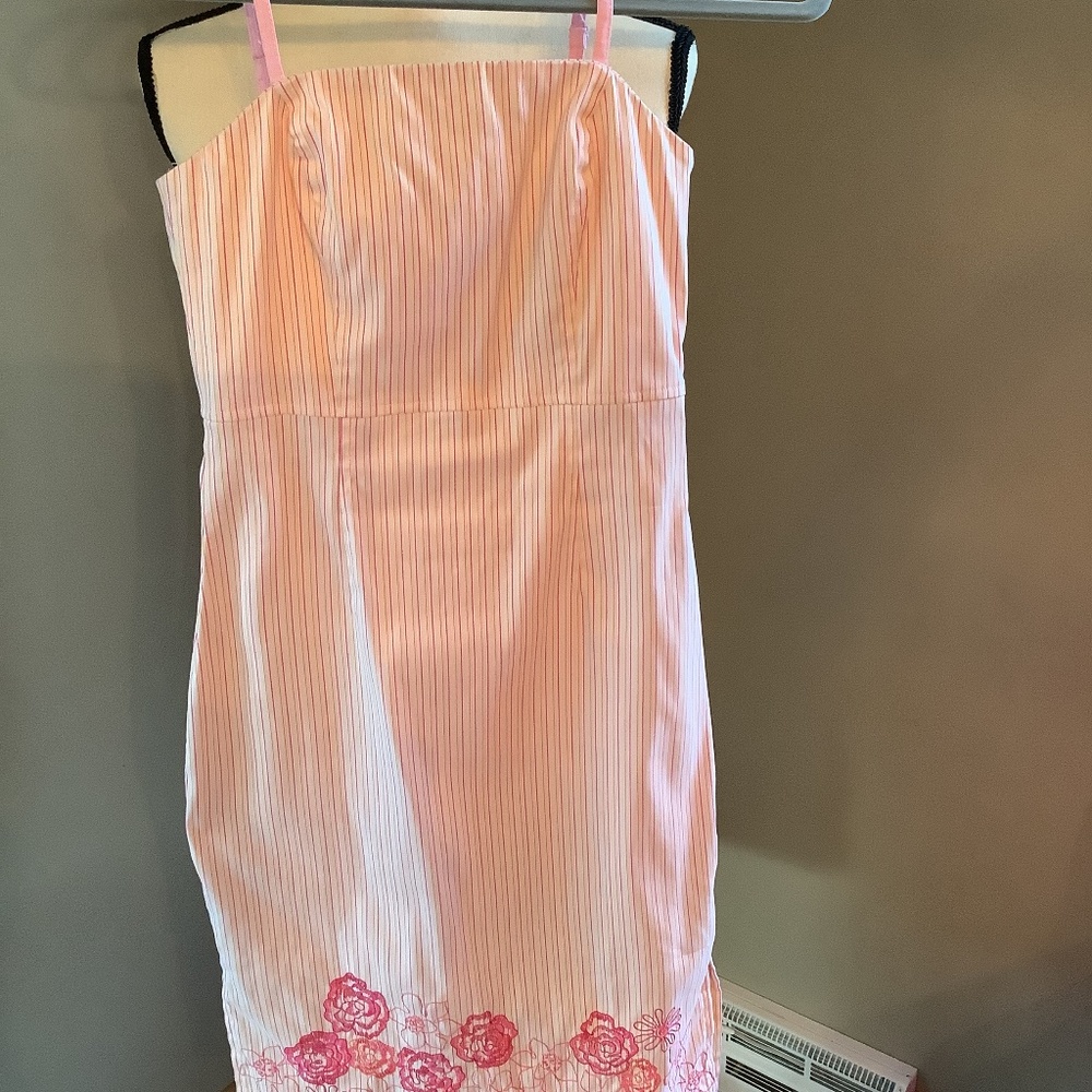 Express  Size 2 pink dress